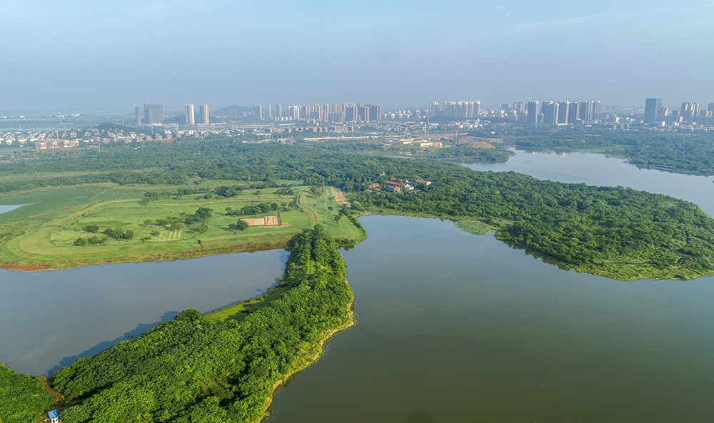 盘龙城遗址:长江流域青铜文明之源