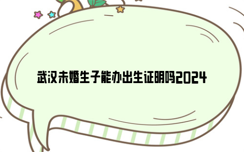 武汉未婚生子能办出生证明吗2024