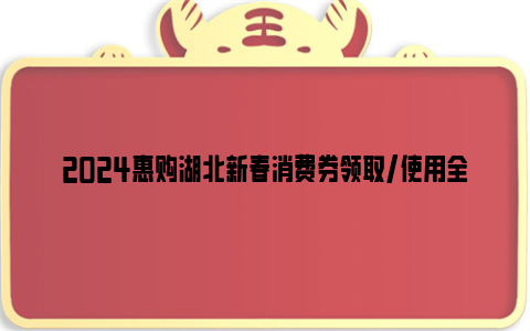 2024惠购湖北新春消费券领取/使用全指南