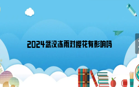 2024武汉冻雨对樱花有影响吗