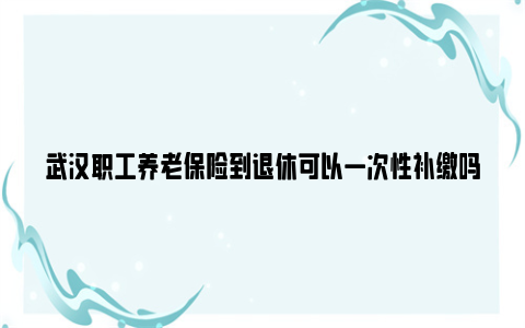 武汉职工养老保险到退休可以一次性补缴吗？