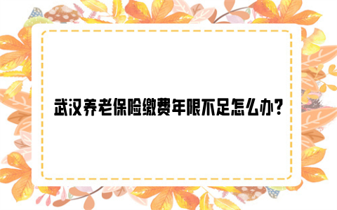 武汉养老保险缴费年限不足怎么办？