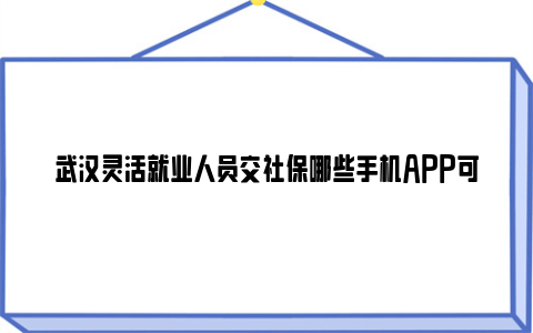 武汉灵活就业人员交社保哪些手机app可以缴费？