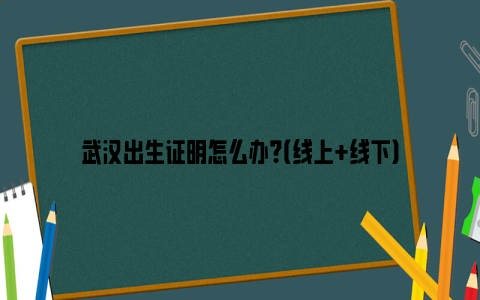 武汉出生证明怎么办？（线上 线下）