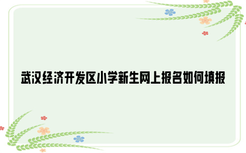 武汉经济开发区小学新生网上报名如何填报户籍和房产信息？