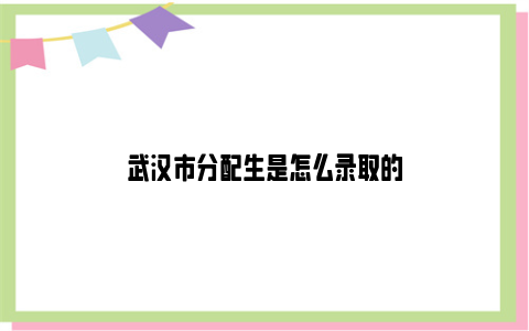 武汉市分配生是怎么录取的