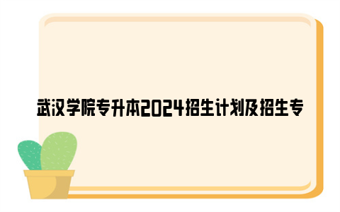 武汉学院专升本2024招生计划及招生专业一览表