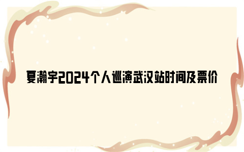 夏瀚宇2024个人巡演武汉站时间及票价