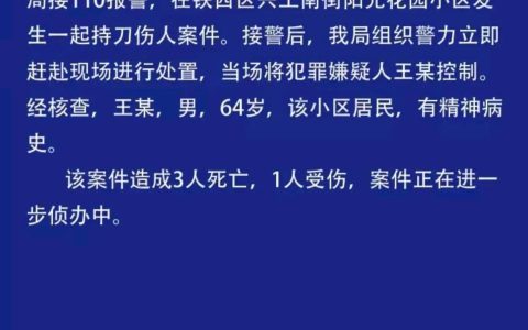 突发！沈阳一男子在小区内随机砍人，致3死1伤，警方:有精神病史