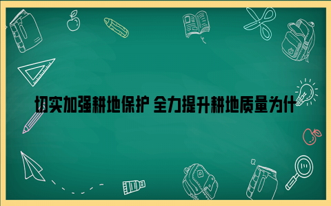 切实加强耕地保护 全力提升耕地质量为什么理由是这样的