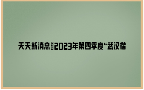 天天新消息|2023年第四季度“武汉楷模”榜单公布，10人（集体）上榜