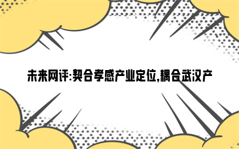 未来网评:契合孝感产业定位，耦合武汉产业体系，孝感前8月签约武汉亿元项目147个