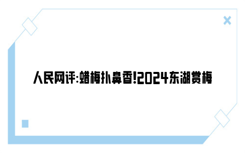 人民网评:蜡梅扑鼻香！2024东湖赏梅地图来了