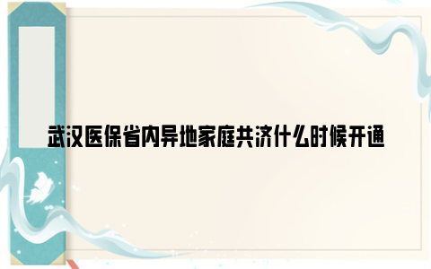 武汉医保省内异地家庭共济什么时候开通