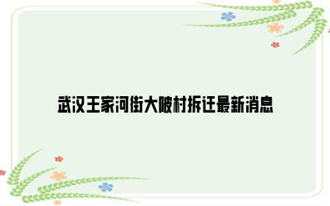 武汉王家河街大陂村拆迁最新消息