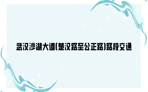 武汉沙湖大道（楚汉路至公正路）路段交通管制时间及绕行方法