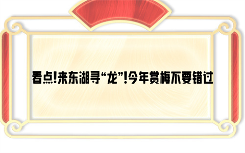 看点!来东湖寻“龙”！今年赏梅不要错过它