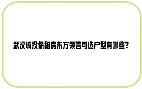 武汉城投保租房东方领誉可选户型有哪些？