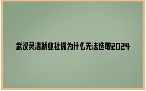 武汉灵活就业社保为什么无法选取2024缴费年度？