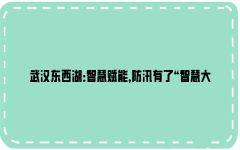 武汉东西湖：智慧赋能，防汛有了“智慧大脑”