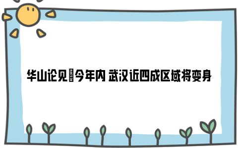 华山论见|今年内 武汉近四成区域将变身“大海绵”