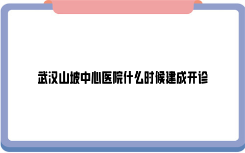 武汉山坡中心医院什么时候建成开诊