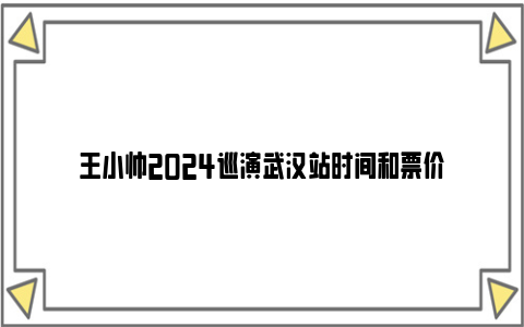 王小帅2024巡演武汉站时间和票价