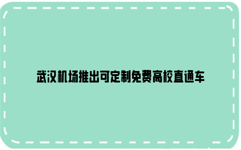 武汉机场推出可定制免费高校直通车