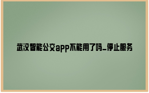 武汉智能公交app不能用了吗_停止服务公告