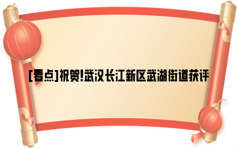 [看点]祝贺！武汉长江新区武湖街道获评全省法治政府建设示范地区